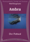 Ambra Ambra
